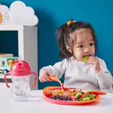 B.Box Sippy Cup 240mL - Raspberry